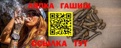 прущие грибы Шелехов