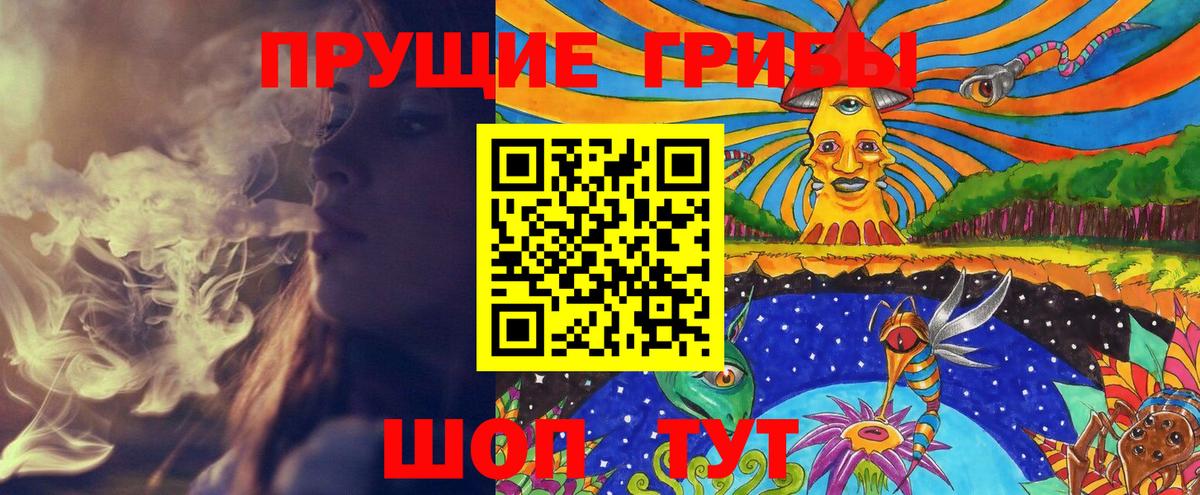 Курганинск  Псилоцибиновые грибы MAGIC MUSHROOMS  Вход с VPN 
